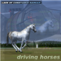 Multiplayer horse